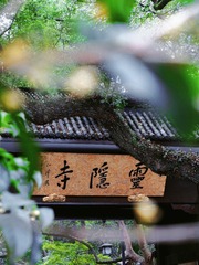 6FD0881D-5AC8-4625-A001-BDF9E6738CDE/L0/001