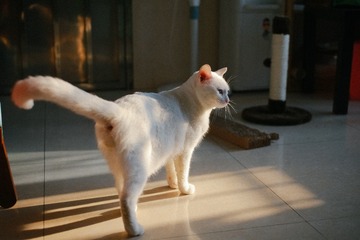 Vin7