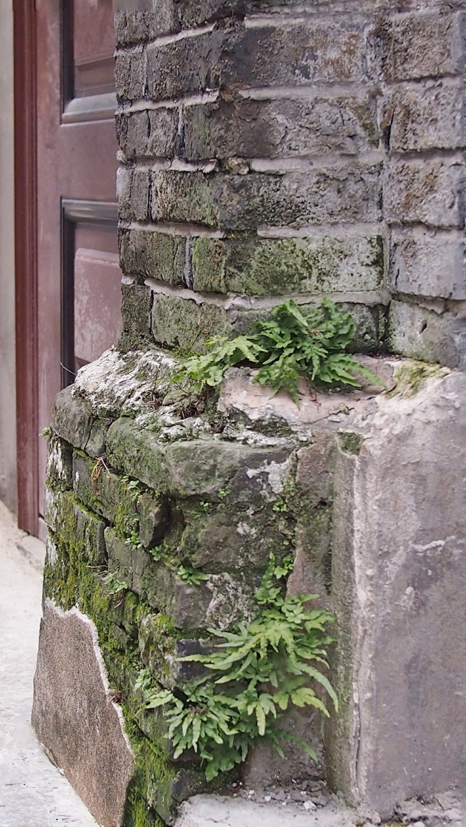 墙角- 反向思维摄影 - 图虫网 - 优质摄影师交流社区