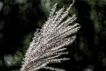 176188