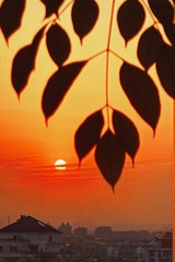 593E9E12-7788-4F17-9C32-BD592B1080AB/L0/001
