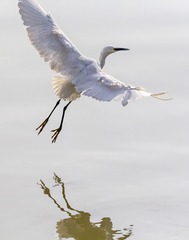 1665971