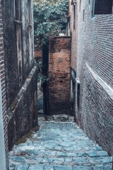 1001017