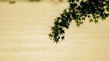 E1615D14-9A7C-4382-90CB-D42263B2FF78/L0/001