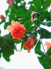 7EE9C498-12DF-4E22-9323-D13B8F432C7C/L0/001