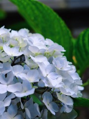 0B3EA11D-1DC0-4039-BA15-62E966ED3087/L0/001