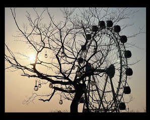 708207FB-1C56-402C-8FB5-04045D1B9E05/L0/001
