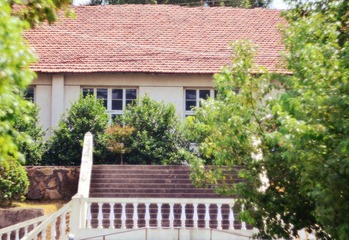 WFY_7755.JPG