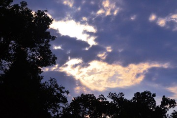 WFY_7903.JPG