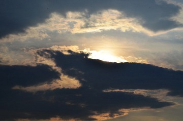 WFY_7945.JPG