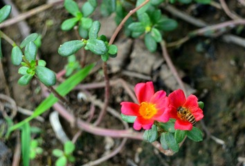 WFY_7988.JPG