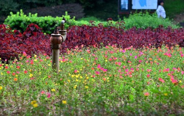 WFY_7992.JPG