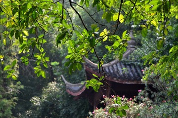 WFY_8012.JPG
