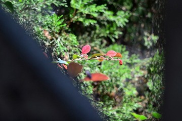 WFY_8153.JPG