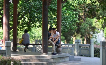 WFY_8040.JPG