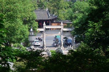 WFY_8138.JPG