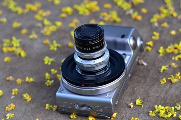 WFY_8268.JPG