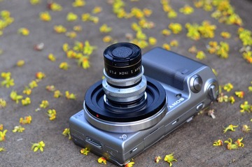 WFY_8269.JPG
