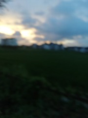 3021203