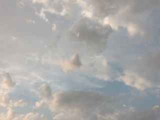 1000016043