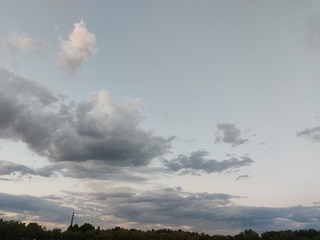 1000016236