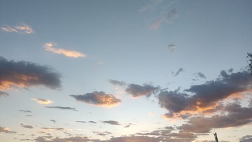 1000016234