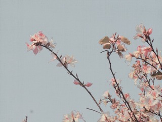 D8AE0707-011E-443F-BC73-A2CC8AE77CF6/L0/001