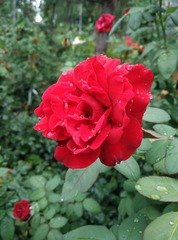 33611DCA-B433-4020-86A1-AA3D667FECD2/L0/001
