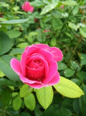 71436C85-730A-40D2-A2D6-34303DE5D350/L0/001