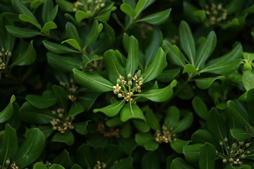 A60D5EC6-31C5-4FF6-B115-CD52FF652985/L0/001
