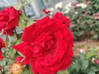 IMG20250523151040