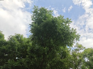 IMG20250523155728