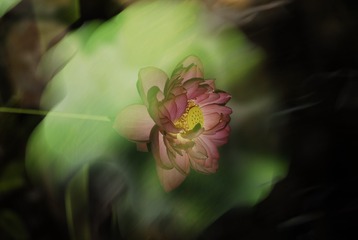 DED9AE3D-7A11-40E3-B4D2-5399FCAD32D6/L0/001