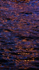 1A750C39-4636-4F79-B86F-9967642961CD/L0/001