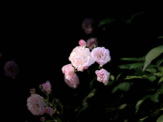 7C5B9093-51ED-4CBA-BF9B-74A7753CCE2A/L0/001