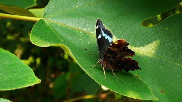 P1080359
