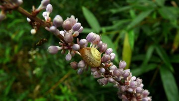 P1080334