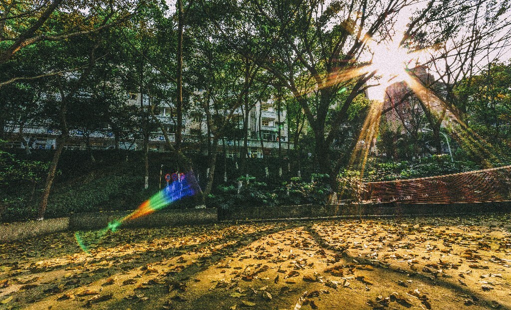 我们总是无法看清自己的生活，看不清前方，又不了解过去，日子过得好，全凭侥幸