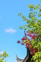 D5F8BB76-5027-455B-A195-F212D9044879/L0/001