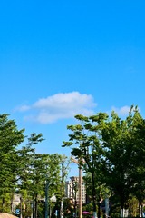 86F34C30-1D83-424D-806D-DB7B36082E11/L0/001