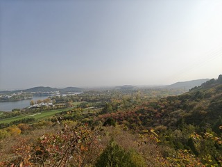 1000011284