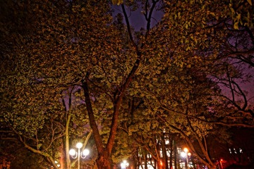 DSC07493.JPG