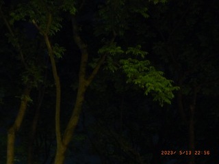8A5FE604-ADB6-49E7-93B6-512B7F45164F/L0/001