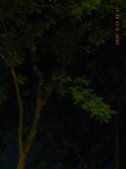 DAD83D38-0E2A-4861-A057-4B0E240450AA/L0/001