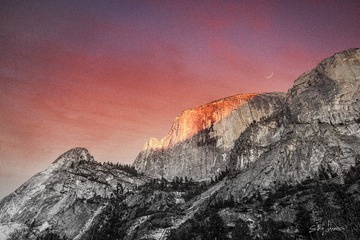 Yosemite Naitonal Park