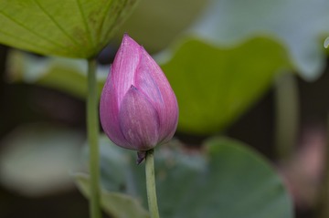 DSC_6882