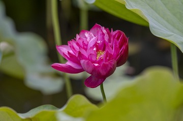 DSC_6869