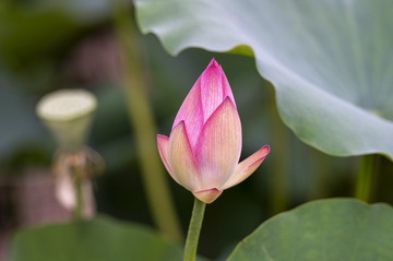 DSC_7050