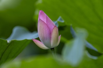 DSC_6844