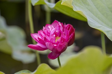 DSC_6870